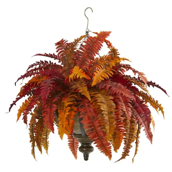 2ft. Autumn Boston Fern in Hanging Metal Bowl {1}