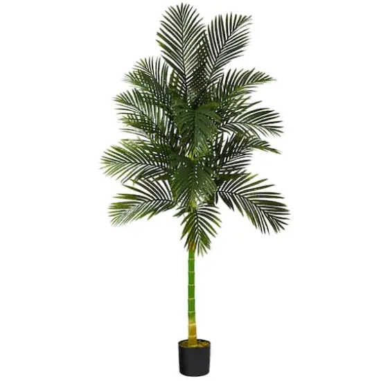 7ft. Potted Golden Cane Palm Tree {1}