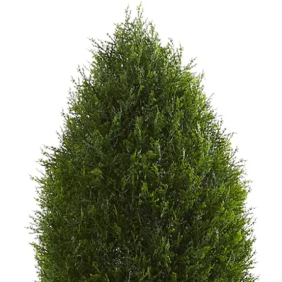 5ft. Potted Cypress Tree {4}