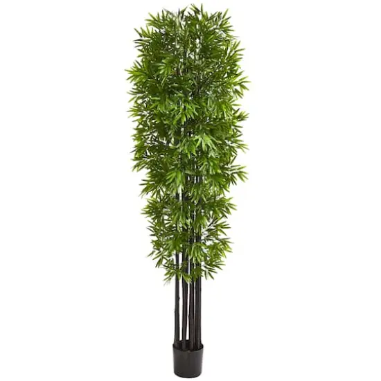 7ft. Potted Bamboo Tree with Black Trunks {1}