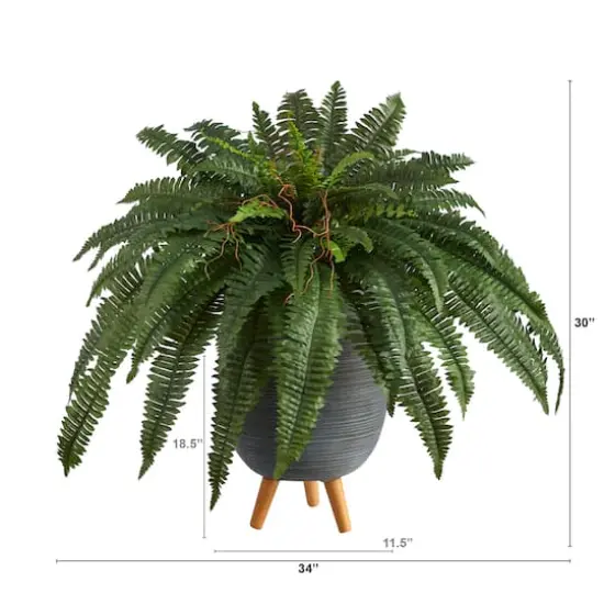 2.5ft. Boston Fern in Gray Planter with Legs {3}