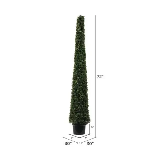 6ft. Potted Boxwood Cone Tree {6}
