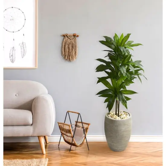 4ft. Dracaena Plant in Sand Colored Planter {6}