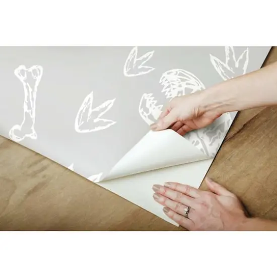 RoomMates Dinosaur Bones Peel & Stick Wallpaper {10}