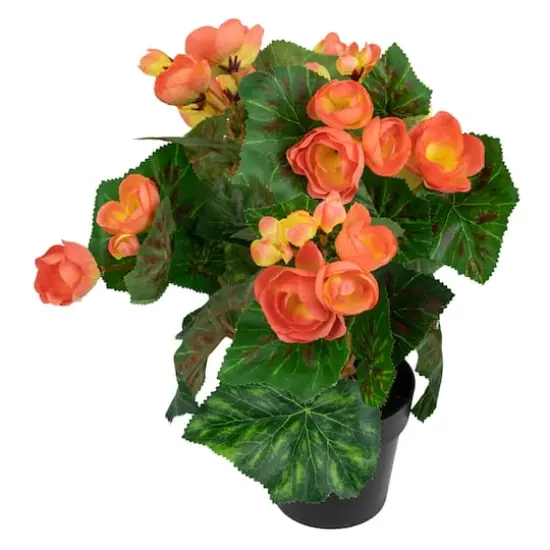 11" Coral Pink Potted Silk Begonia Floral Arrangement {4}
