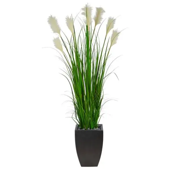 5ft. Wheat Plume Grass Plant in Black Planter {1}