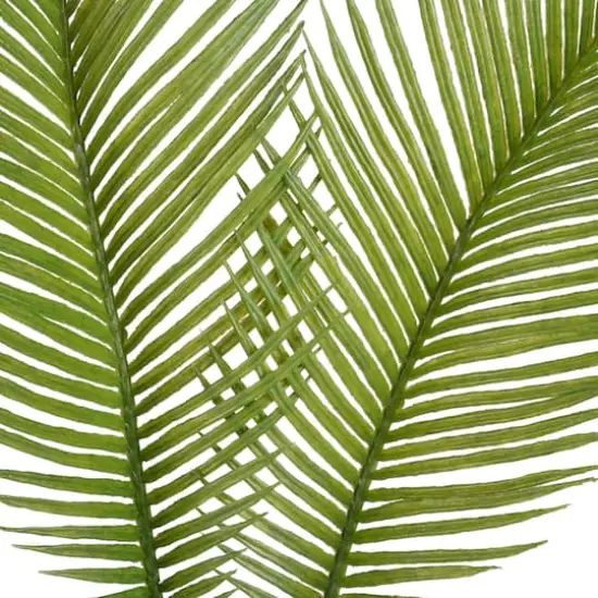 Green Sago Palm Stem by Ashland&reg; {5}