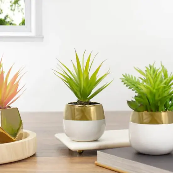 7" Potted Green Sword Grass Plant {3}