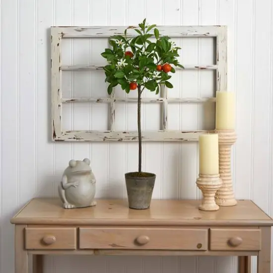 3ft. Potted Orange Tree {6}