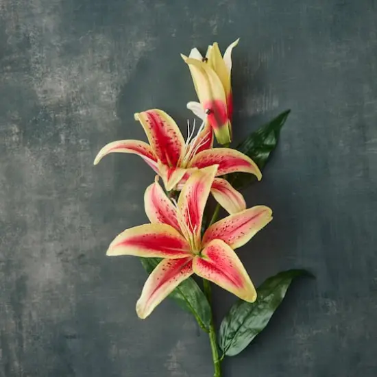 Casablanca Lily Stem by Ashland&reg; Hot Pink {3}