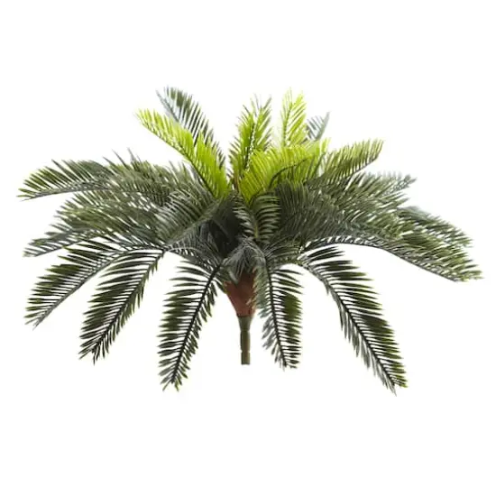 Green Cycas Pick, 2ct. {1}