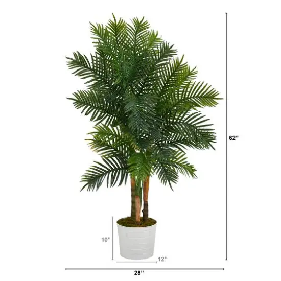 5ft. Areca Palm Tree in White Tin Planter {3}