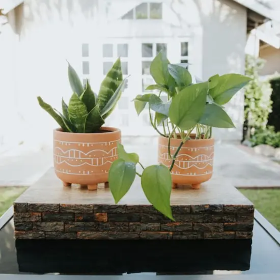Flora Bunda&reg; Orange Navajo Footed Planter Set {4}