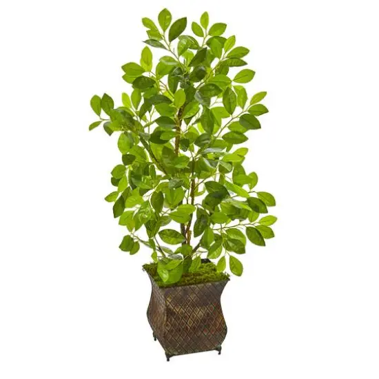 3ft. Ficus Tree in Metal Planter {1}