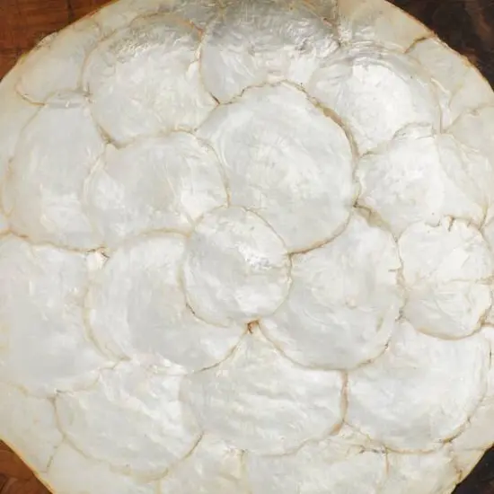 18" Brown Wood & Natural Shell Decorative Bowl {4}