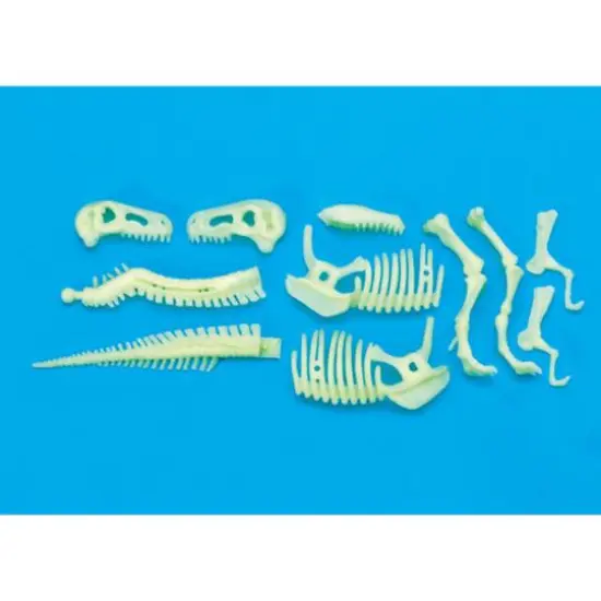 The Original Glowstars&reg; Company Glow-In-The-Dark Dinos T-Rex Skeleton {3}