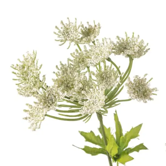 White Queen Anne's Lace Spray by Ashland&reg; {4}