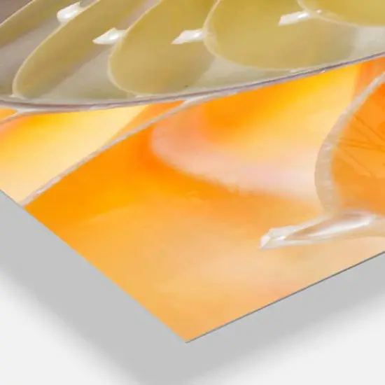 Designart 'Isolated Nautilus Shell Modern Rectangular Wall Clock {4}