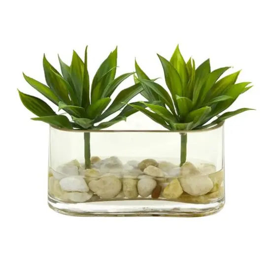6.5" Mini Agave Succulent Arrangement in Glass Vase {5}