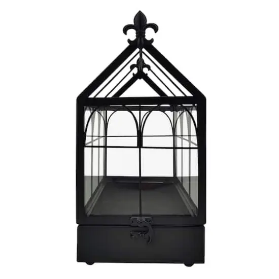 11" Black Glass & Metal Greenhouse Terrarium by Ashland&reg; {3}