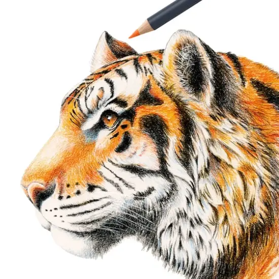 Faber-Castell&reg; Goldfaber Basic Color Pencils {6}