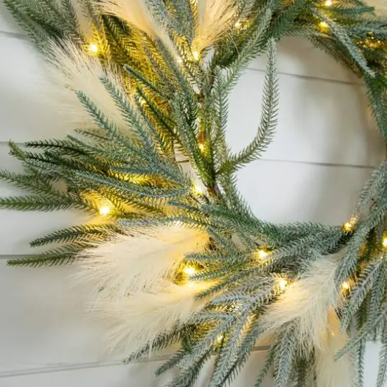 24in. Artificial Balsam Fir Pine and Pampas Wreath with 50 Color Changing LED Lights {8}