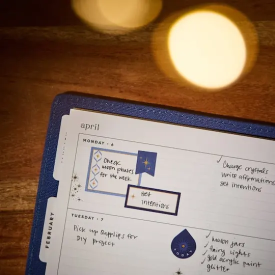 The Classic Happy Planner&reg; Star Signs Premium {8}