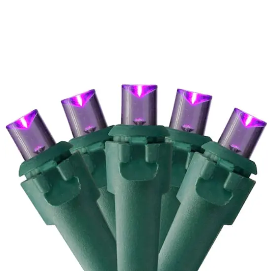50ct. LED Wide Angle Christmas String Lights with Green Wire Purple {1}