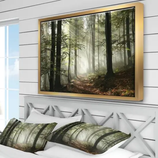 Designart - Light in Dense Fall Forest with Fog - Landscape Art Print Framed Canvas Gold {5}