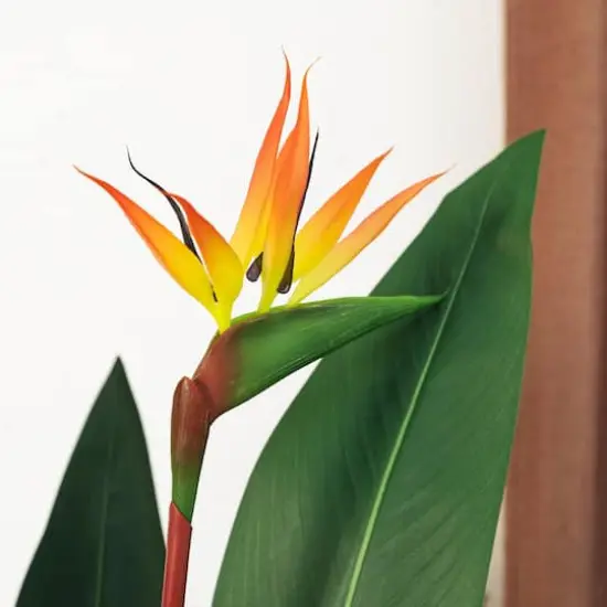 Glitzhome&reg; 5.25ft. Faux Bird of Paradise Plant in Pot {7}
