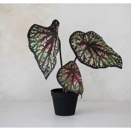 Hello Honey&reg; 23" Round Faux Begonia Plant in Plastic Pot {3}