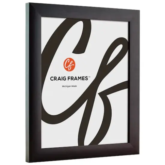 2 Pack Craig Frames Contemporary Brazilian Walnut Picture Frame {4}