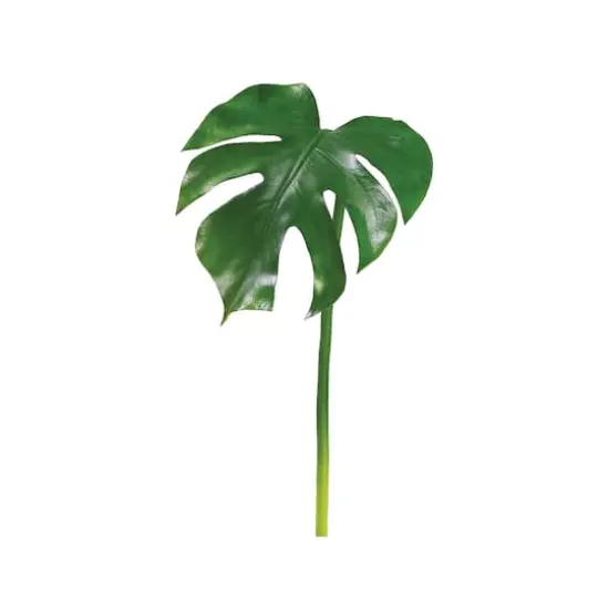 Split Philodendron Leaf Spray {1}
