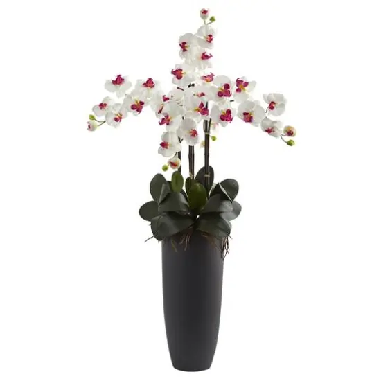 3.5ft. Phalaenopsis Orchid Arrangement with Bullet Planter White {1}