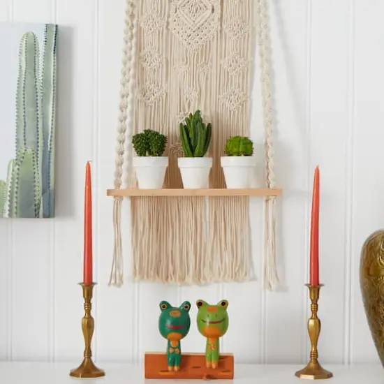 8" Assorted Potted Cactus Plant, 3ct. {7}