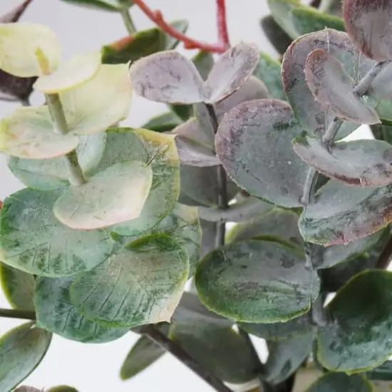 Green Seeded Eucalyptus Pick by Ashland&reg; {3}