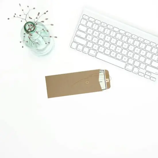 JAM Paper 9.5" x 4.125" Kraft Brown Business Envelopes with Button & String Closure, 25ct. {4}