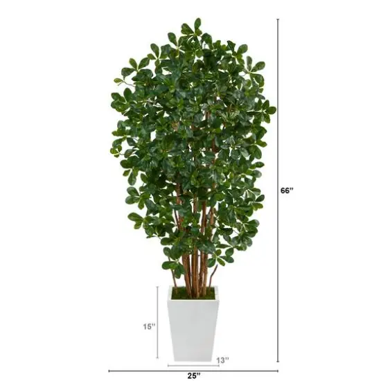 5.5ft. Black Olive Artificial Tree with 1365 Bendable Leaves in Metal White Planter {3}