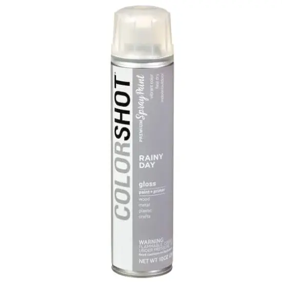 COLORSHOT&reg; Premium Gloss Spray Paint Rainy Day {1}