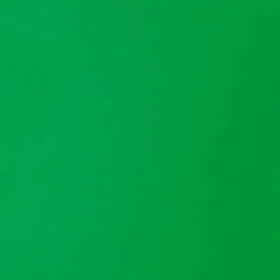 Liquitex® BASICS® Acrylic Fluid, 4oz. Light Green Permanent {3}