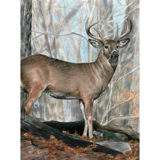Royal & Langnickel&reg; Whitetail Buck Colour Pencil&trade; by Number Kit {3}