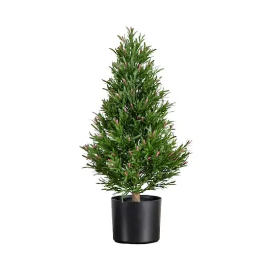 2ft. Potted UV Resistant Rosemary Cone Topiary Tree {1}