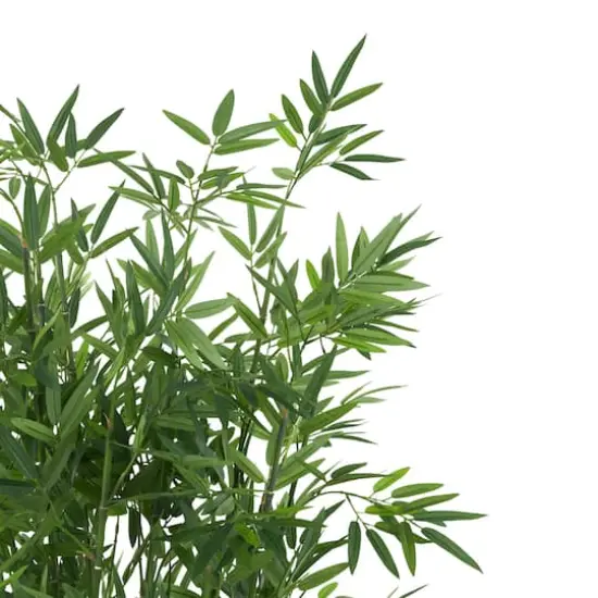 40" Natural Green Foliage Plant in Brown Seagrass Pot {4}