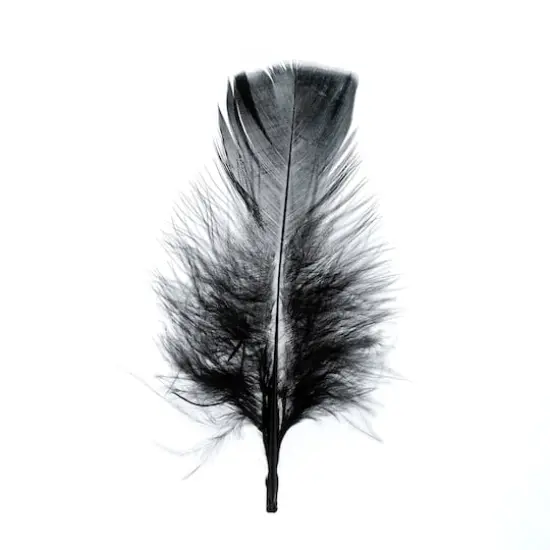 John Bead 4"-6" Marabou Feathers Black {1}