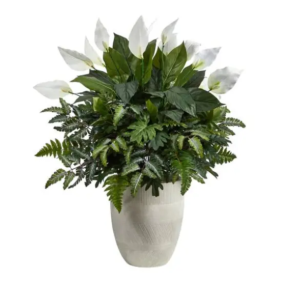 3ft. Mixed Peace Lily Plant in Decorative White Planter {1}