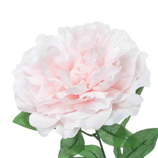 21" Light Pink Peony Bush by Ashland&reg; {4}