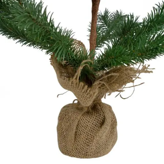 2ft. Unlit Ponderosa Pine Artificial Christmas Tree in Burlap Base {6}