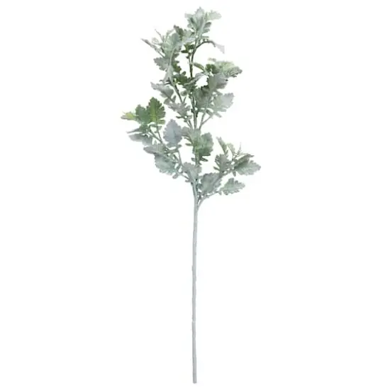 Frosted Dusty Miller Spray Stem by Ashland&reg; {1}