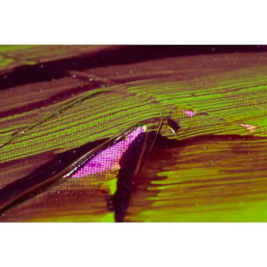 Liquitex&reg; Glazing Medium {5}