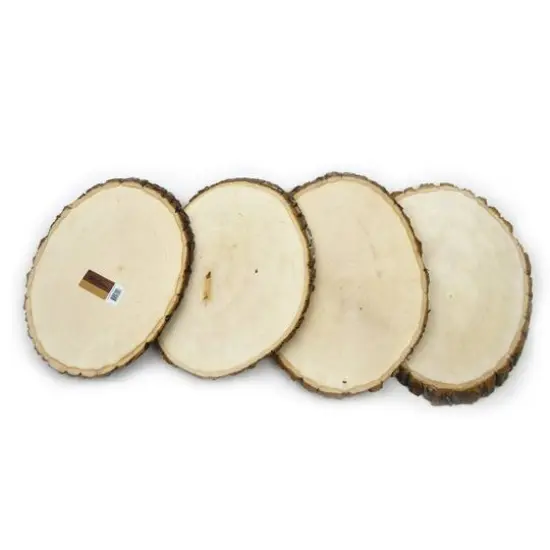 Wilson&reg; Enterprises 10 Pack Large Basswood Plaque {3}